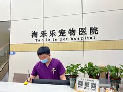 -凯瑞希宠物医院·狂犬免疫·微创·皮肤科