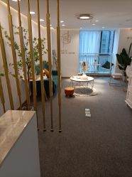 -Doris多里斯半永久纹眉·SMP纹发·发际线
