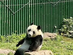 -沈阳森林动物园