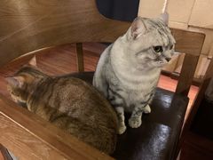 -H立方实景剧情密室(天河旗舰店)