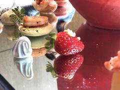 -苏州希尔顿酒店·园大堂吧