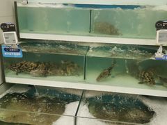 -盒马鲜生(大成店)