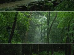 -虎跑公园