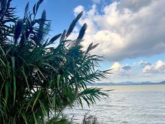 -东钱湖旅游度假区