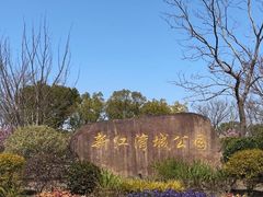 -新江湾城公园