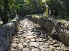 -阳台山自然风景区