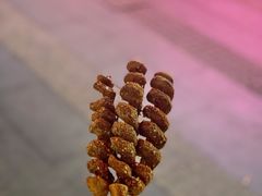 -小红旗臭豆腐炸冷面(万达店)