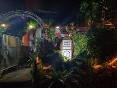 -Jungle Kitchen