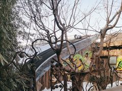 -呀路古热带植物园