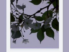 -咸阳湖景区-统一广场