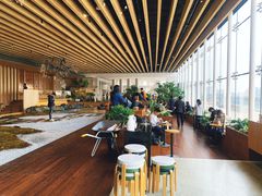 -Seesaw Coffee(朝阳大悦城店)