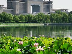 -莲花池公园