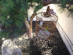 -小厨娘淮扬菜(六合欢乐港店)