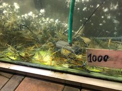 -J Daeng Seafood