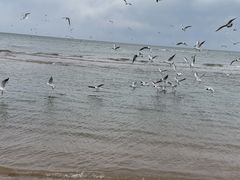 -仙螺岛海鲜自助餐厅(总店)