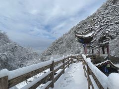 -沣峪口