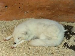 -Zoolung Zoolung动物主题公园(海信广场店)