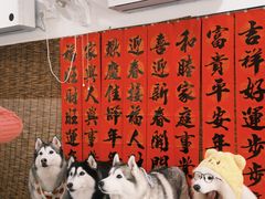 -星多哈·狗咖·拼豆·咖啡