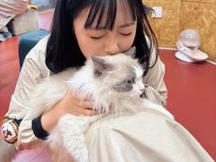 -和它·交个朋友·狗咖猫咖(爱琴海店)