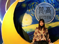 -南昌梵高星空艺术馆