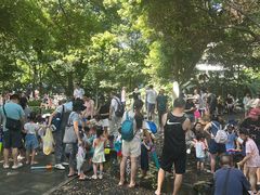 -成都市活水公园