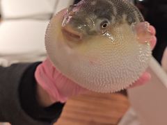 -永安鱼庄·镇江菜(东吴路店)