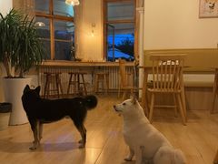 -柴の食堂·日式家庭料理·熊之肆(大学路店)