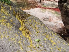 -京东石林峡风景区