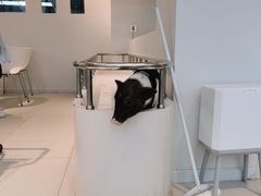 -怪兽屋·羊驼·猫咖·狗咖(俊华广场店)