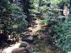 -雁荡山风景名胜区-小龙湫