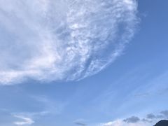-大九湖