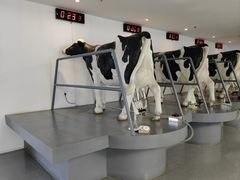 -蒙牛工业旅游景区