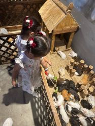 -酷嗒动物文化乐园(cutezoo西溪乐天城店)