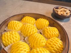 -寨子里的·钵钵菜·湘西山里菜(魅力湘西店)