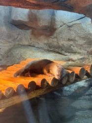 -Zoolung Zoolung动物主题公园(海信广场店)