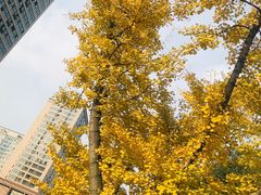 -龙潭水乡