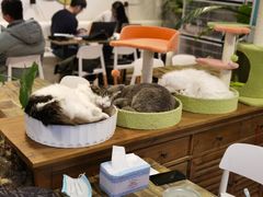 -小时光咖啡馆(北锣鼓巷店)