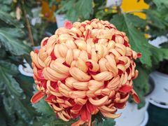 -共青国家森林公园-售票处