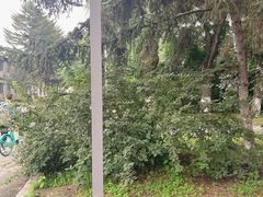 -东北农业大学