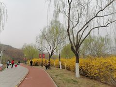 -南翠屏公园
