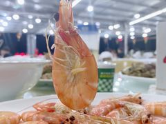 白灼海虾-红月湾海鲜饭店•沙滩海景(双月湾店)