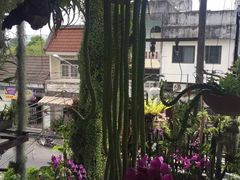 -自然餐厅(Phuket)