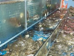 水产区-瑶记海鲜餐厅(西涌店)