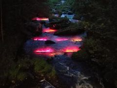 -汤旺河林海奇石景区