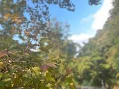 -广州市石门国家森林公园