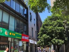 -爱妮康宠物医院·干细胞免疫细胞·肿瘤·心脏(张江店)