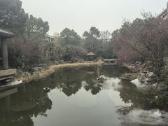 -红豆杉庄会议中心