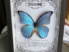 -上海汾阳花园酒店