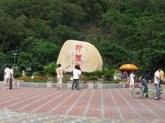 -野狸岛
