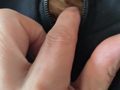 -天宠宠物医院24小时·急重症诊疗中心·全科·腔镜特色(和平分院)